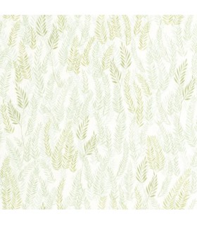 Papier Peint WALK IN THE JUNGLE VERT FEUILLE - Collection ONCE UPON A TIME 2 - CASADECO - Réf. OUTD200797515