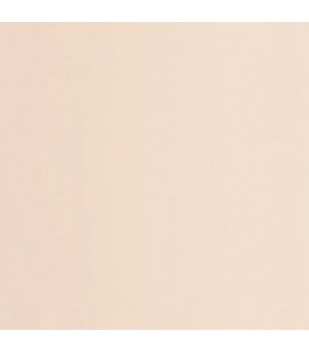 Papier Peint UNI BEIGE - Collection ONCE UPON A TIME 2 - CASADECO - Réf. OUTD69861303