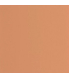 Papier Peint PIGMENTS TERRACOTTA - Collection COLOR GAME - CASADECO - Réf. GAME200333320