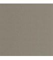 Papier Peint PIGMENTS GRIS ELEPHANT - Collection COLOR GAME - CASADECO - Réf. GAME200339404