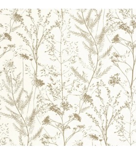 Papier Peint PRAIRIE OLIVE - Collection SENTIERS DES DUNES - CASADECO - Réf. SENT200957261