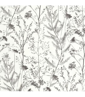 Papier Peint PRAIRIE REGLISSE - Collection SENTIERS DES DUNES - CASADECO - Réf. SENT200959310