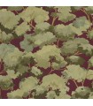 Papier Peint ETE BORDEAUX - Collection BALADE - CASELIO - Réf. BLD106108078