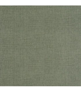 Papier Peint RAPHIA VERT MOUSSE - Collection MATIERES - CASELIO - Réf. MMT105977206