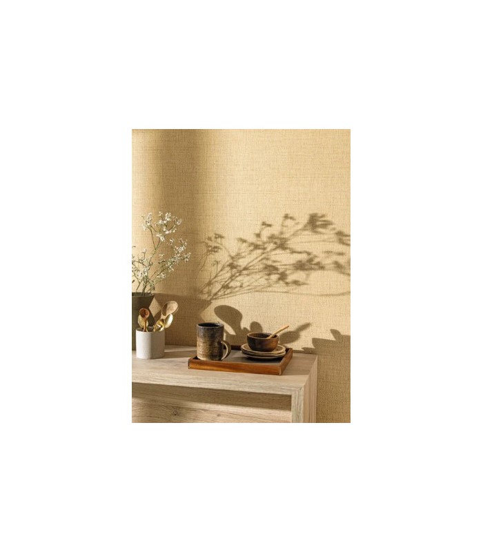 Papier Peint RAPHIA TAUPE FONCE - Collection MATIERES - CASELIO - Réf. MMT105971664
