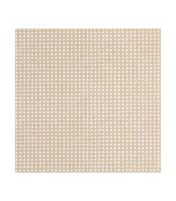 Papier Peint CANNAGE TAUPE - Collection MATIERES - CASELIO - Réf. MMT106022050