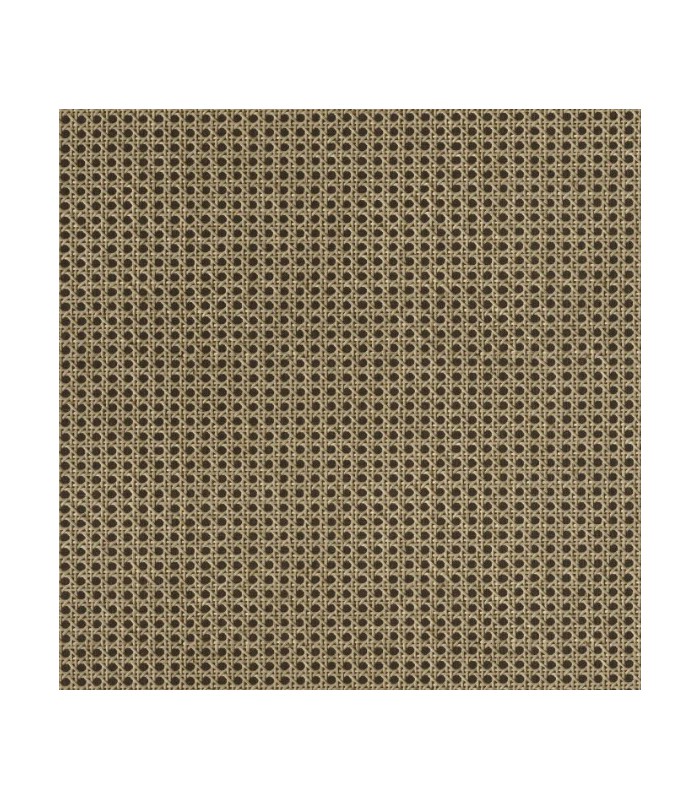Papier Peint CANNAGE NOIR - Collection MATIERES - CASELIO - Réf. MMT106029014