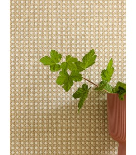Papier Peint CANNAGE BEIGE - Collection MATIERES - CASELIO - Réf. MMT106021000