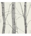 Papier Peint Vinyle Expansé sur Intissé Motif Forest 1 – Erismann - réf. 5433-47