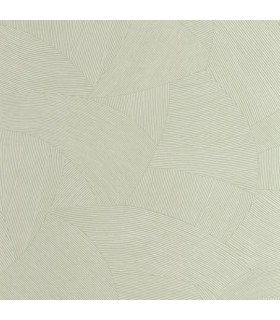 Papier Peint TERRA VERT SAUGE - Collection ORIGINE - CASELIO - Réf. OGN106067000