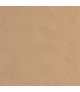 Papier Peint UNI LA CHAUX GRES DES VOSGES - Collection ORIGINE - CASELIO - Réf. OGN106081350