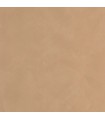 Papier Peint UNI LA CHAUX GRES DES VOSGES - Collection ORIGINE - CASELIO - Réf. OGN106081350