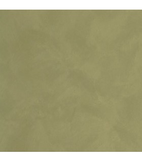 Papier Peint UNI LA CHAUX VERT KAKI - Collection ORIGINE - CASELIO - Réf. OGN106087370