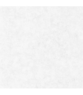 Papier Peint BETON UNI GRIS CLAIR - Collection RELIEFS - CASELIO - Réf. RLF101489000