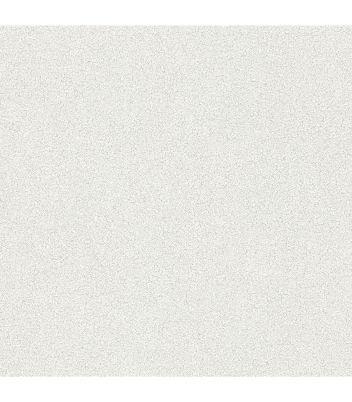 Papier Peint Vinyle Grainé sur Intissé Motif Matière – Erismann - réf. 02514-50
