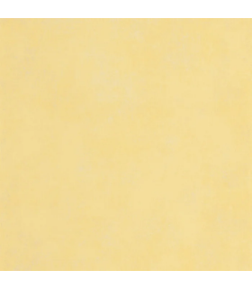 Papier peint Uni STONE JAUNE ALCHEMILLE - Collection Stone 2 - Réf. STND80832109