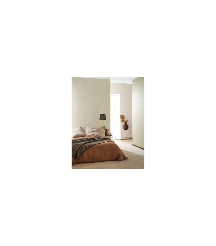 Papier peint Uni STONE MASTIC - Collection Stone 2 - Réf. STND80839229