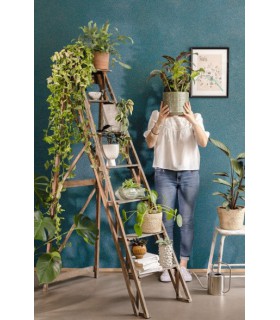 Papier peint Sparkle Bleu madura et Or - Collection Green Life 2 - CASELIO - Réf.  GNL2101736128