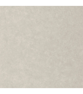 Papier peint Uni Mat TAUPE CLAIR Collection Céramique - CASELIO - Réf. CER105242139