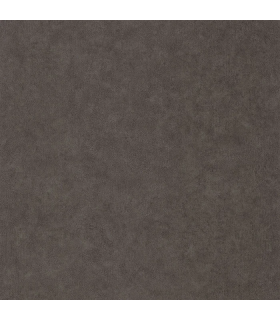 Papier peint Uni Mat TERRE CENDREE Collection Céramique - CASELIO - Réf. CER105242429