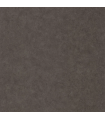 Papier peint Uni Mat TERRE CENDREE Collection Céramique - CASELIO - Réf. CER105242429