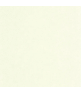 Papier peint Uni Mat VERT CELADON Collection Céramique - CASELIO - Réf. CER105247110