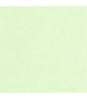 Papier peint Uni Mat VERT JADE Collection Céramique - CASELIO - Réf. CER105247499