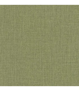 Papier peint Uni Mat Kaki - Collection Green Life 2 - CASELIO - Réf.  GNL2104017951