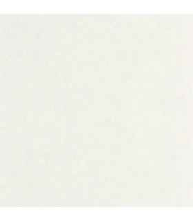 Papier peint Uni Mat GRIS ETAIN Collection Céramique - CASELIO - Réf. CER105249000