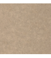 Papier peint Uni Métallisé GREGE DORE Collection Céramique - CASELIO - Réf. CER105252120