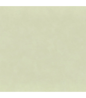 Papier peint ARGILE- Collection La Chaux - CASAMANCE - REF B7549