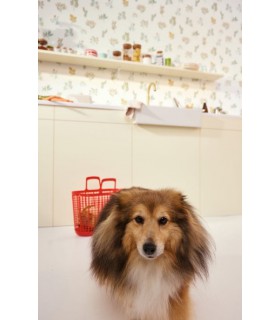 Papier peint Luck Vert d'Eau - Collection Green Life 2 - CASELIO - Réf.  GNL2105370721