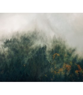 Panoramique Tales Of The Carpathians - Collection Pure 2 - KOMAR - REF PSH036-VD3  - 300x250CM