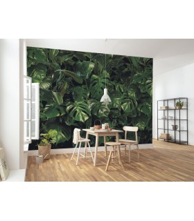 Panoramique Tropical Wall - Collection Pure 2 - KOMAR - REF P333-VD4  - 400x250CM