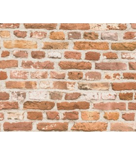 Papier Peint Référence 1960062 - Collection ELEMENTS 2 - AS CREATION