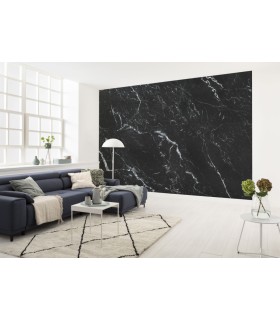 Panoramique Marble Nero - Collection Pure 2 - KOMAR - REF P041-VD4  - 400x250CM