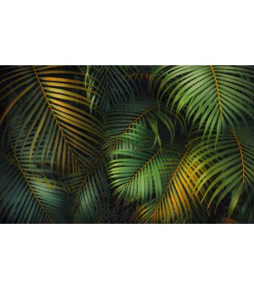 Panoramique Amazon Fern - Collection Pure 2 - KOMAR - REF PSH109-VD4  - 400x250CM