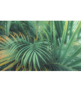 Panoramique Foggy Fern - Collection Pure 2 - KOMAR - REF PSH107-VD4  - 400x250CM