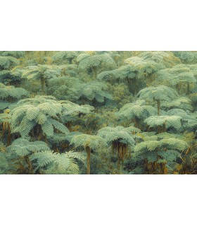 Panoramique Jungle Lands - Collection Pure 2 - KOMAR - REF PSH106-VD4  - 400x250CM