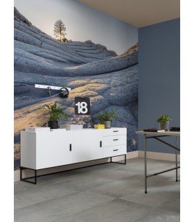 Panoramique Elephant Skin - Collection Pure 2 - KOMAR - REF PSH104-VD4  - 400x250CM