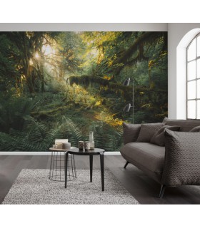 Panoramique Hall of Mosses - Collection Pure 2 - KOMAR - REF PSH103-VD4  - 400x250CM