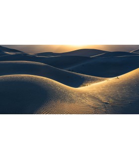 Panoramique Body Lines - Collection Pure 2 - KOMAR - REF PSH105-VD5  - 500x250CM