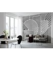 Panoramique JEUX DES LIGNES - Collection FLAIR - KOMAR - 300X250