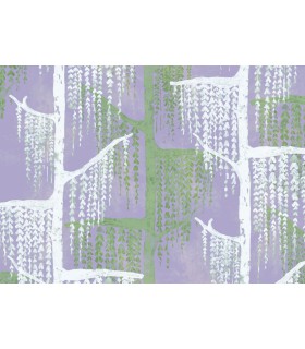 Panoramique CRAZY WILLOW - Collection FLAIR - KOMAR - 350X250