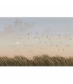 Panoramique sur-mesure BIRDS SWEETNESS - WALL DREAMER BOOK 1 - REF WAD0078_1