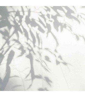 Panoramique sur-mesure TREE SHADES - WALL DREAMER BOOK 1 - REF WAD0065