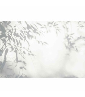 Panoramique sur-mesure TREE SHADES - WALL DREAMER BOOK 1 - REF WAD0065