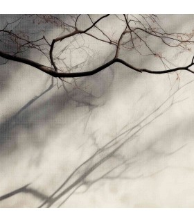 Panoramique sur-mesure APRÈS L'ORAGE - WALL DREAMER BOOK 1 - REF WAD0184