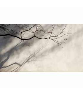 Panoramique sur-mesure APRÈS L'ORAGE - WALL DREAMER BOOK 1 - REF WAD0184