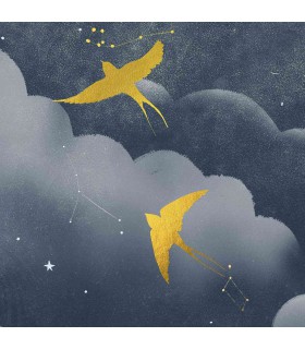 Panoramique sur-mesure LES CONSTELLATIONS ET LES HIRONDELLES - WALL DREAMER BOOK 1 - REF WAD0180